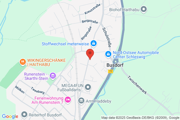 Autowerkstatt die Busdorf