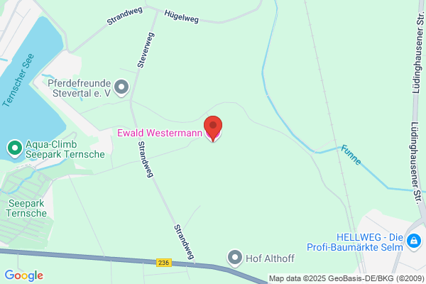 Westrup Dieter GmbH & Co. KG