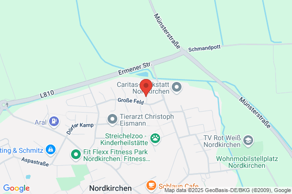 benusoft GmbH