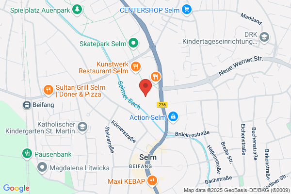 Ballspielverein 1919 Selm