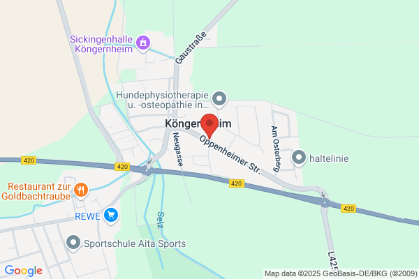 SPEED Consulting GmbH