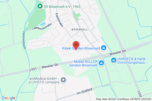 Polster Cleaner