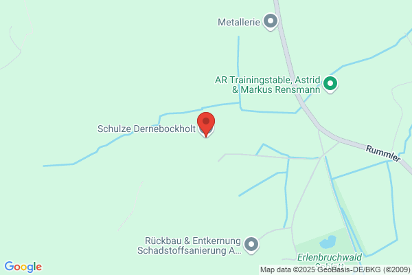 Hubertus Schulze Dernebockholt