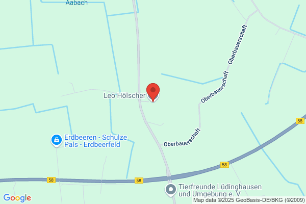 Leopold Hölscher, Leo