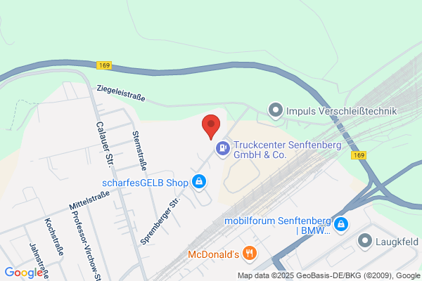 Insel Froggi Kindergärten