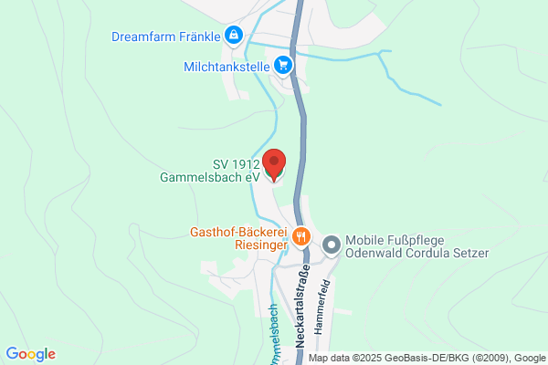 SV Gammelsbach e.V.