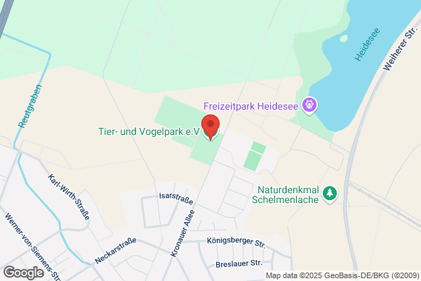 Vogel ForstGarten und Freizeit