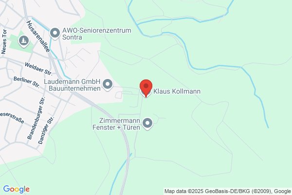 Klaus Kollmann