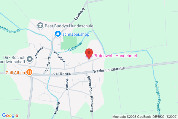 Pfotenhotel
