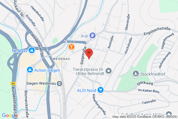 Bosch Car Service Althaus