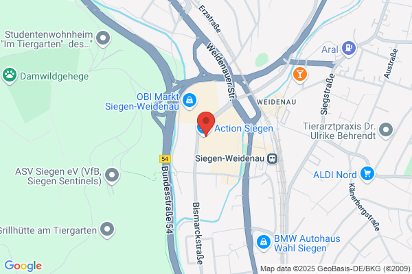 Action Siegen