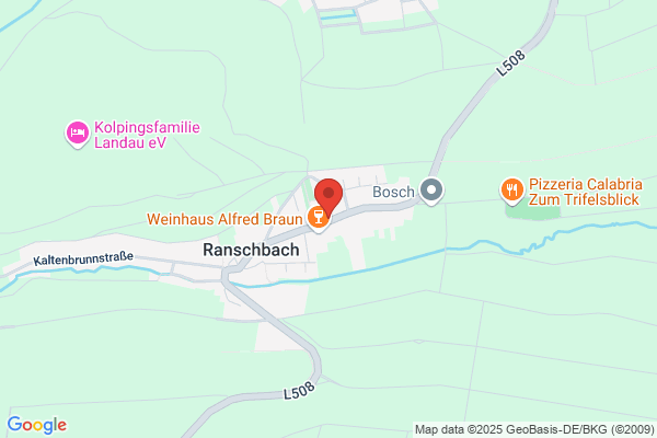 Horst Schnetzer