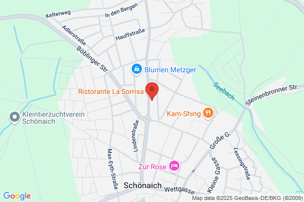 Frasch Optik    Rainer Frasch