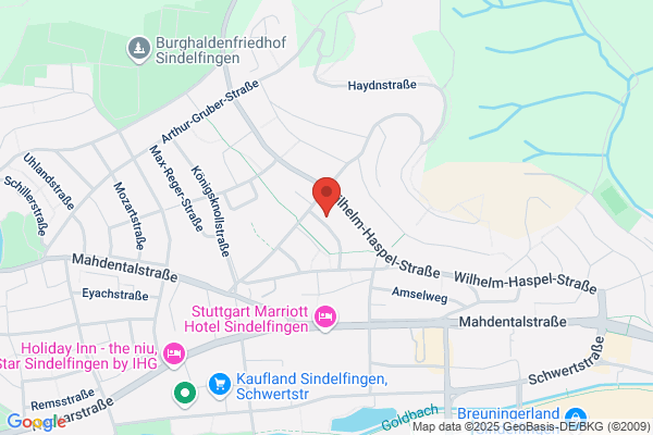 Reinigungsdienst