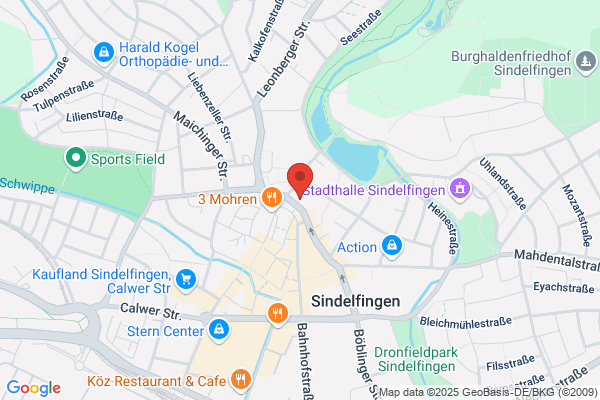 Fremdspracheninstitut Logica