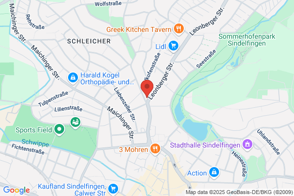 Laidig Business Consulting GmbH