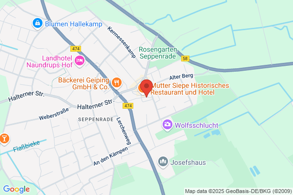 Spaun electronic GmbH & Co. KG