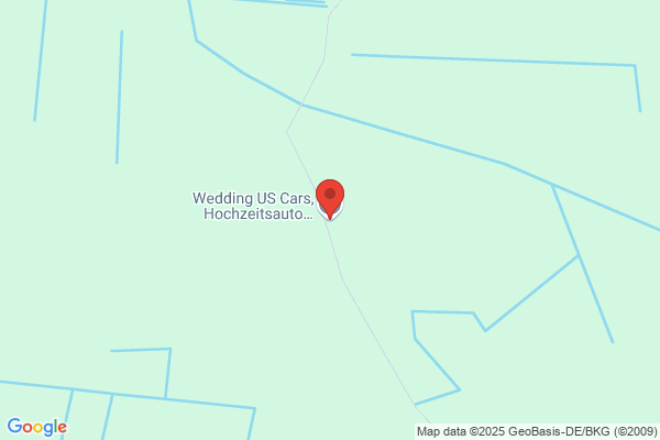 Hochzeitsfahrten im US Oldtimer