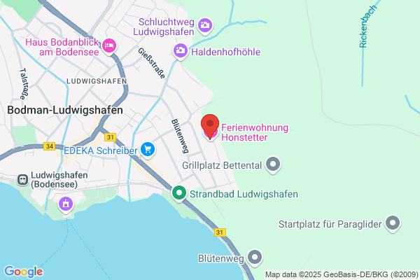 Narrenzunft Seehasen e.V.