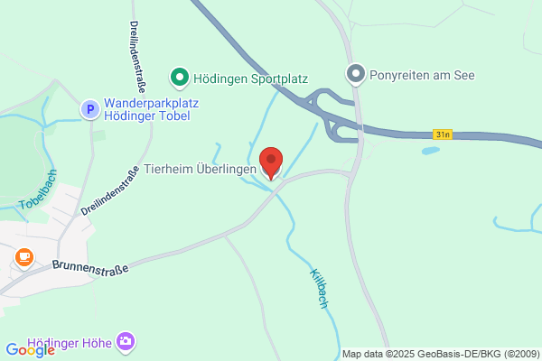 Tierschutzverein Tierheim Überlingen