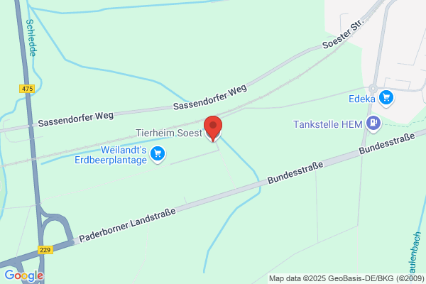 Tierheim Soest