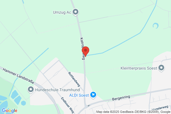 Baumschule Pfingsten Soest KG