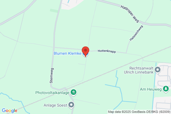 Klemke