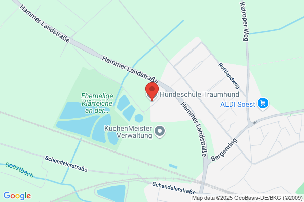 Hundeschule Traumhund