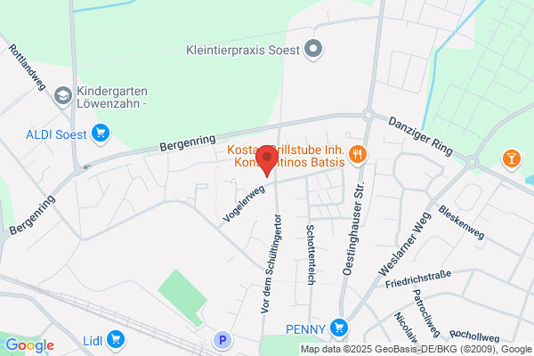 Bodelschwingh-Schule, Schule