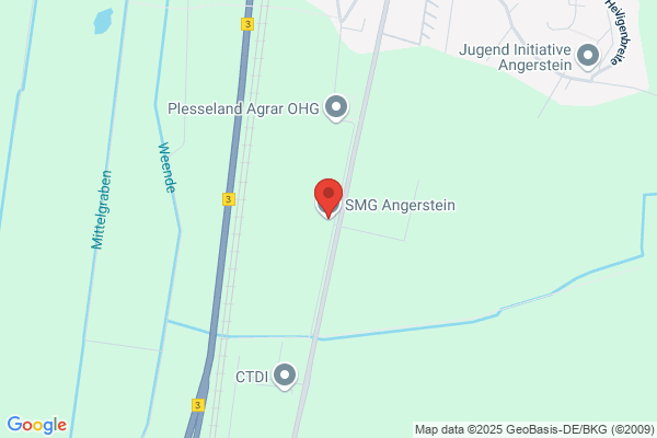 Angerstein