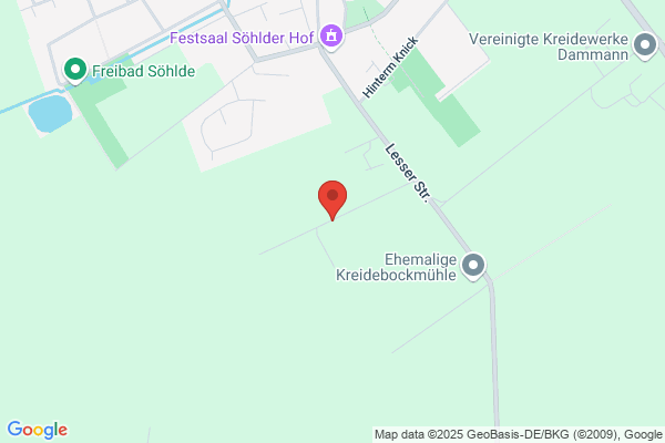 Bruns Rudolf Handel-Transport Gmbh & Co. KG