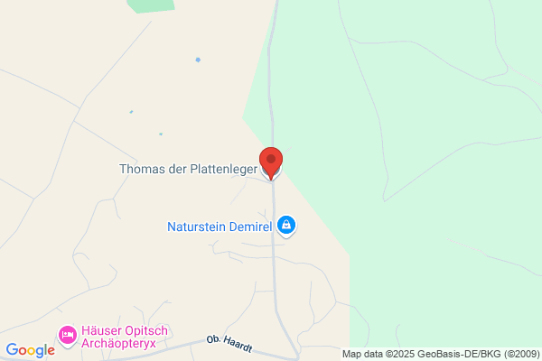 Thomas der Plattenleger