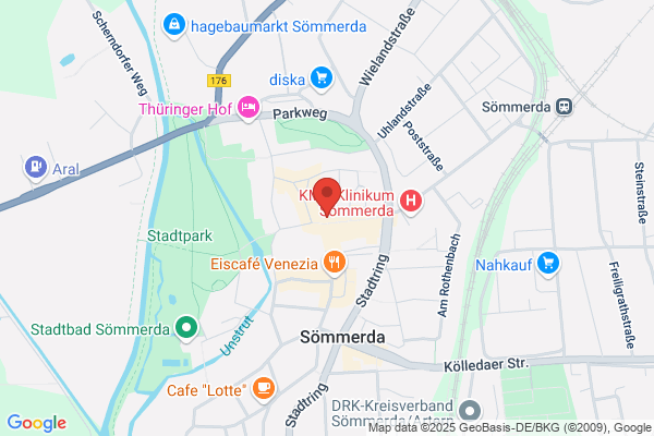 Zum Goldenen Löwen