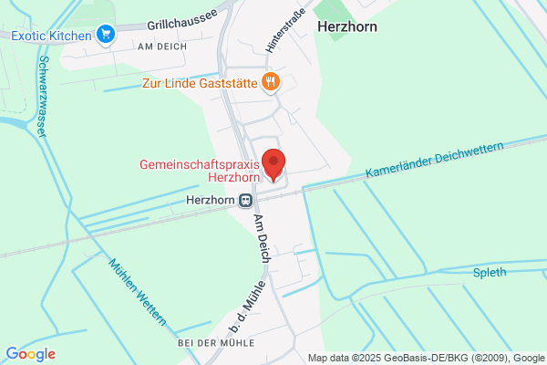 Hirte