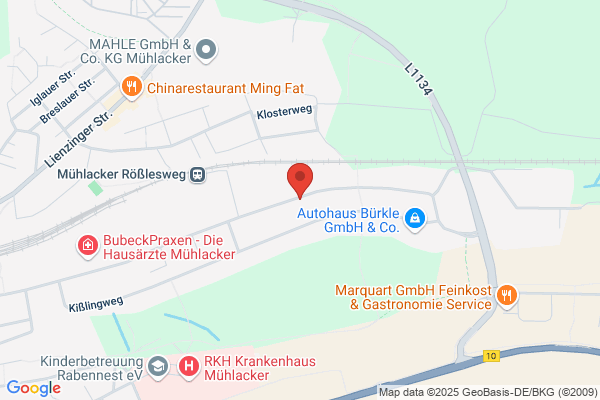 Fischer Fritz GmbH & Co. KG