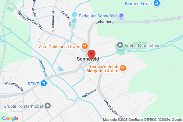 Reinhard Pülz, Manfred Pülz