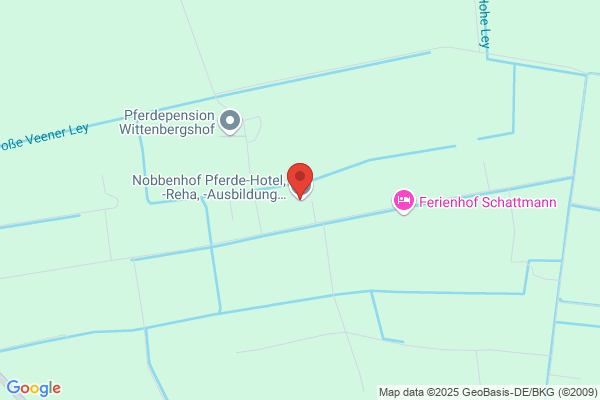 Zentrum für mentale Stärke im Reitsport