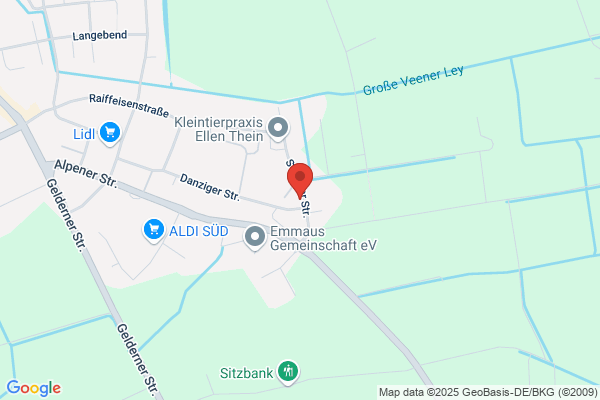Die Zwillinge