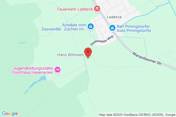 Wilmsen