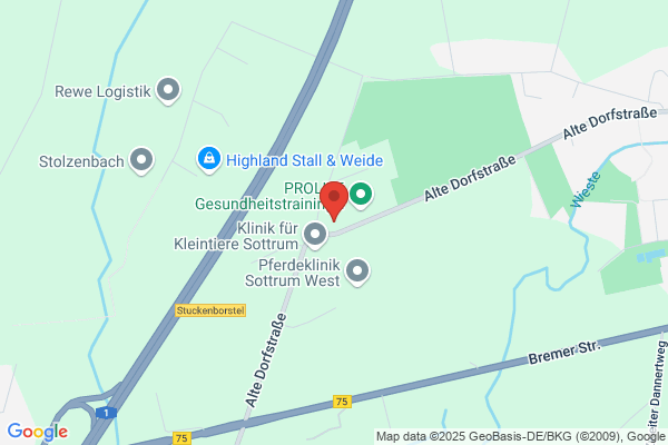 Behling GmbH
