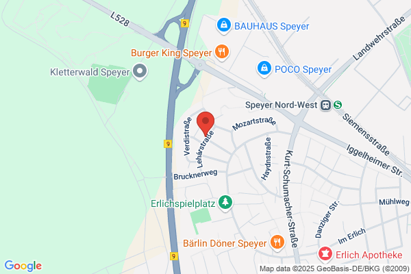 Lebensweg Systemische Praxis Speyer