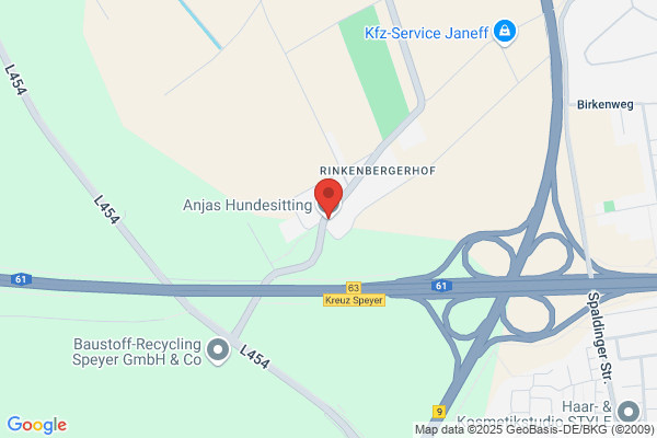 Anjas Hundesitting