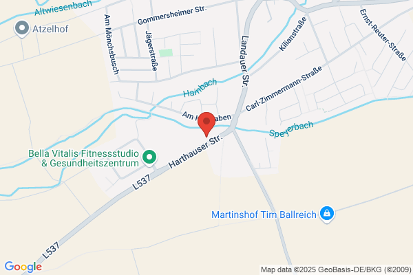 Alfons Hoffmann