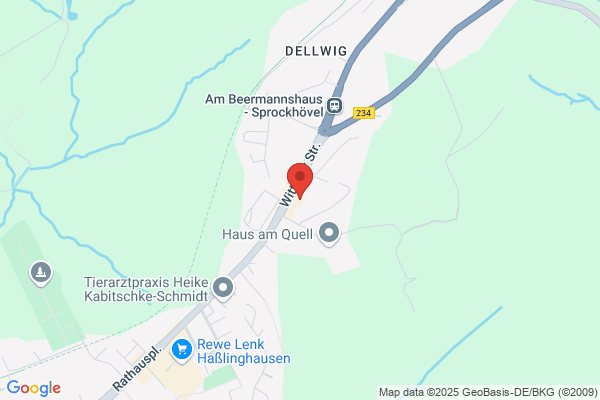 REWE To Go bei Aral