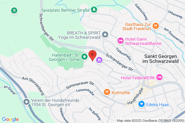 Thomas-Strittmatter-Gymnasium St. Georgen