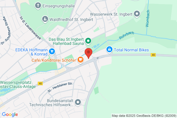 Baumfällungen Bautenschutz Lehmann