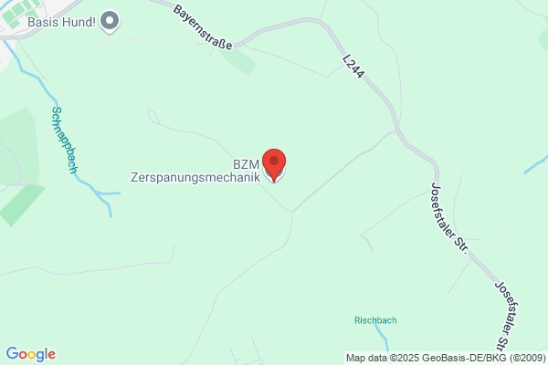 BZM GmbH