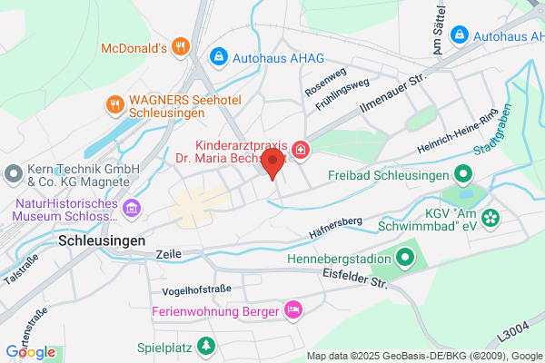 Feuerwehr Schleusingen