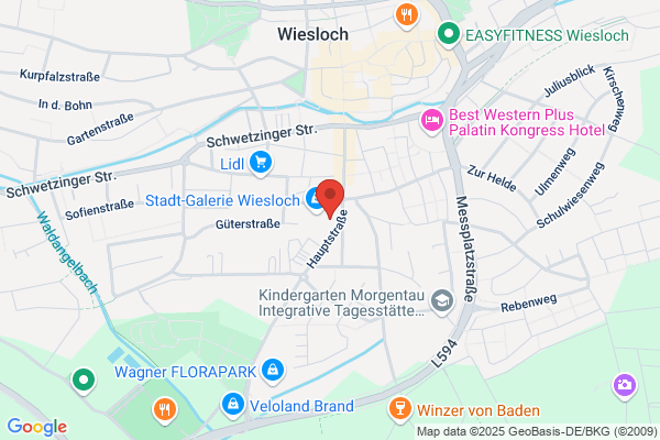 Werner Pfitzenmeier Verwaltungs-GmbH