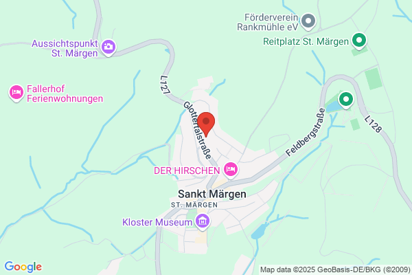BZH BiomasseZentrumHochschwarzwald GmbH